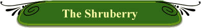 The Shruberry